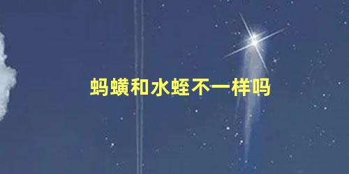 蚂蟥和水蛭不一样吗