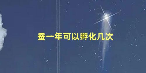 蚕一年可以孵化几次