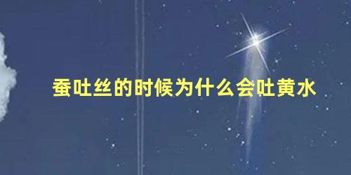 蚕吐丝的时候为什么会吐黄水