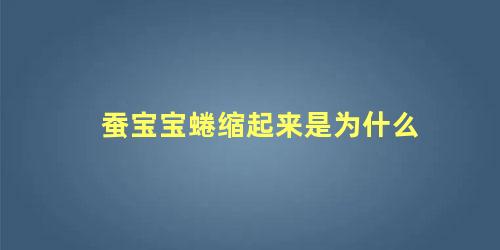蚕宝宝蜷缩起来是为什么