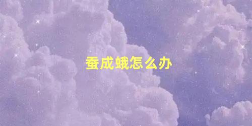 蚕成蛾怎么办
