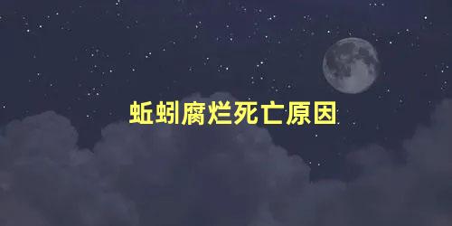 蚯蚓腐烂死亡原因