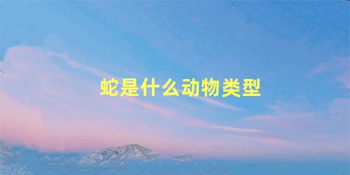 蛇是什么动物类型