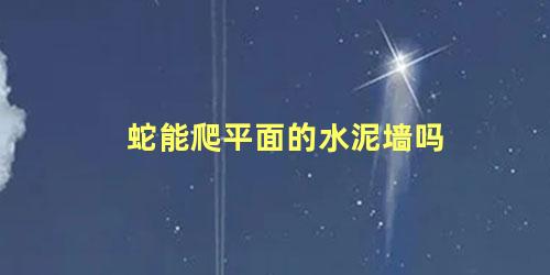蛇能爬平面的水泥墙吗