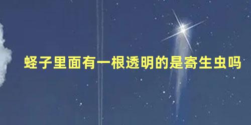 蛏子里面有一根透明的是寄生虫吗