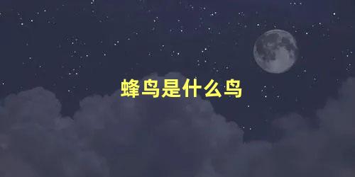 蜂鸟是什么鸟