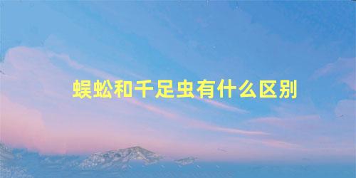 蜈蚣和千足虫有什么区别