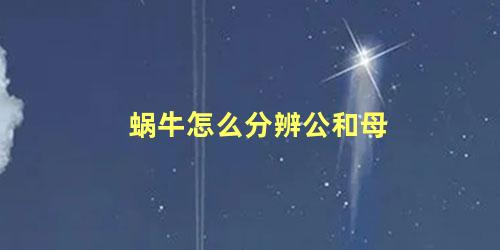 蜗牛怎么分辨公和母