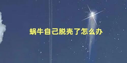 蜗牛自己脱壳了怎么办