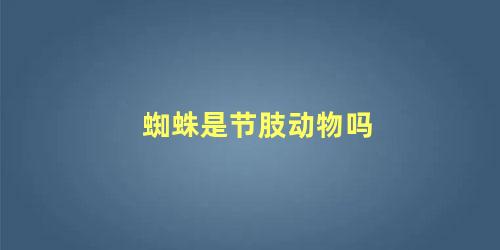蜘蛛是节肢动物吗