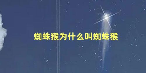 蜘蛛猴为什么叫蜘蛛猴
