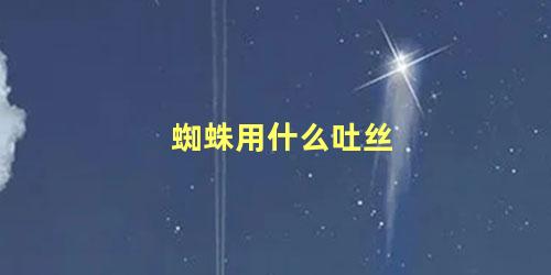 蜘蛛用什么吐丝