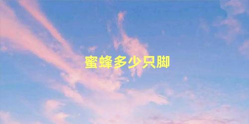 蜜蜂多少只脚