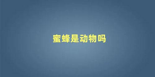 蜜蜂是动物吗