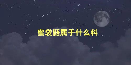 蜜袋鼯属于什么科