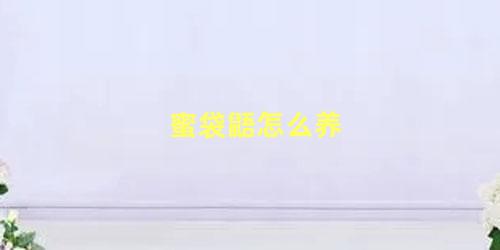 蜜袋鼯怎么养