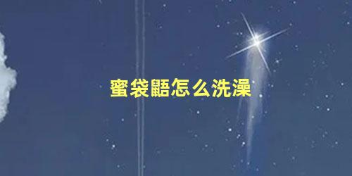 蜜袋鼯怎么洗澡