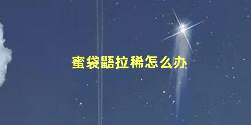 蜜袋鼯拉稀怎么办