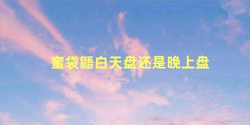 蜜袋鼯白天盘还是晚上盘