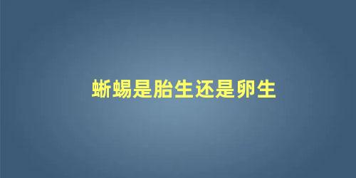 蜥蜴是胎生还是卵生
