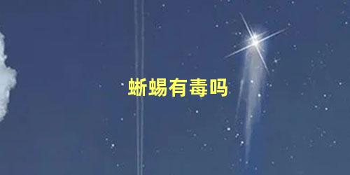 蜥蜴有毒吗