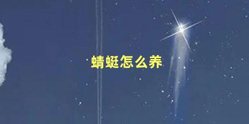 蜻蜓怎么养