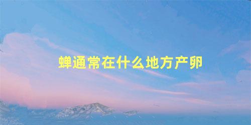 蝉通常在什么地方产卵