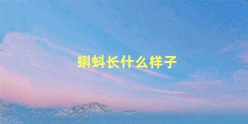 蝌蚪长什么样子