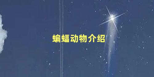 蝙蝠动物介绍