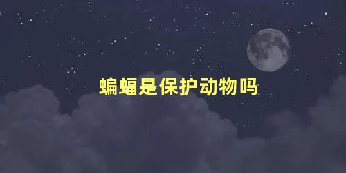 蝙蝠是保护动物吗