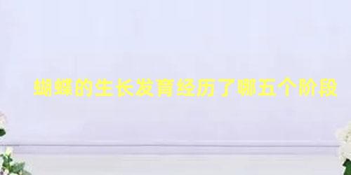蝴蝶的生长发育经历了哪五个阶段