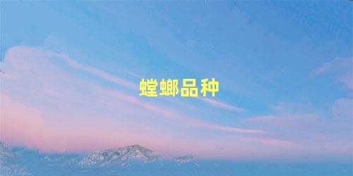 螳螂品种
