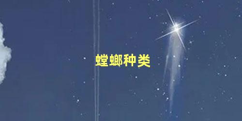 螳螂种类