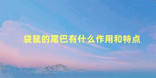 袋鼠的尾巴有什么作用和特点