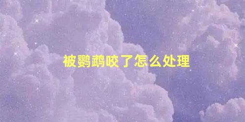 被鹦鹉咬了怎么处理