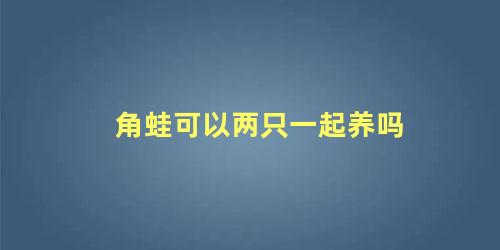角蛙可以两只一起养吗