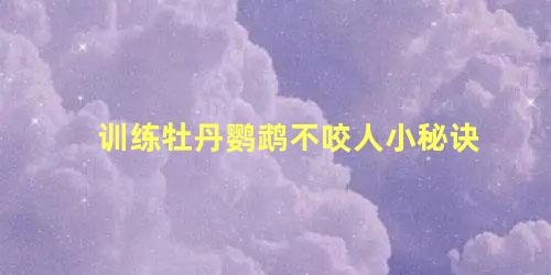 训练牡丹鹦鹉不咬人小秘诀