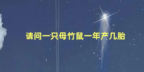 请问一只母竹鼠一年产几胎