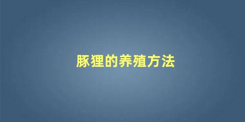 豚狸的养殖方法