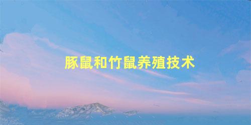 豚鼠和竹鼠养殖技术