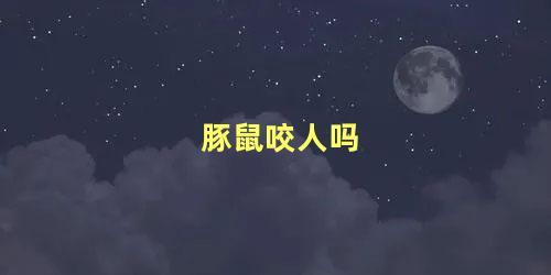 豚鼠咬人吗