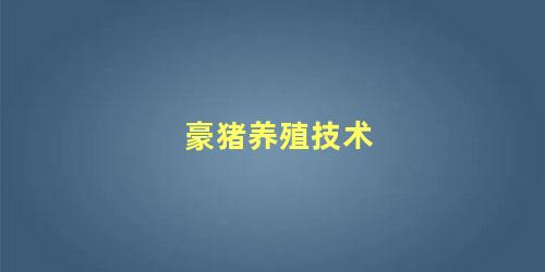 豪猪养殖技术