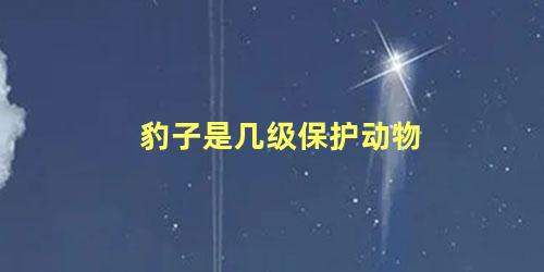 豹子是几级保护动物
