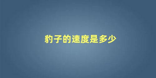 豹子的速度是多少