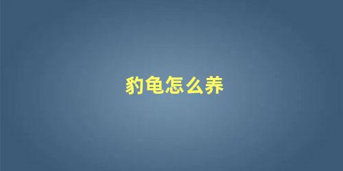 豹龟怎么养