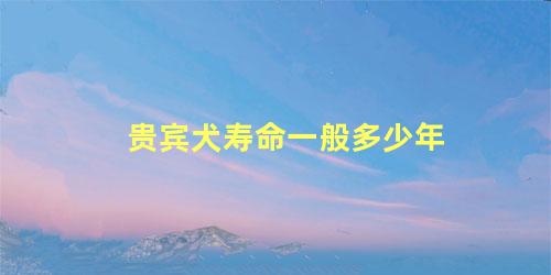 贵宾犬寿命一般多少年