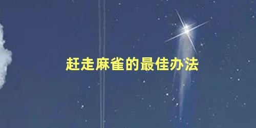 赶走麻雀的最佳办法