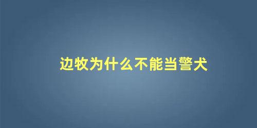 边牧为什么不能当警犬