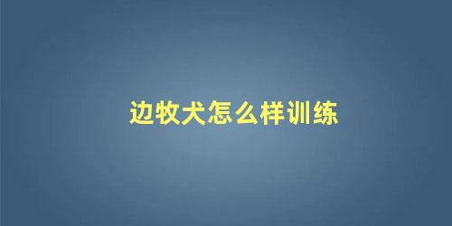 边牧犬怎么样训练