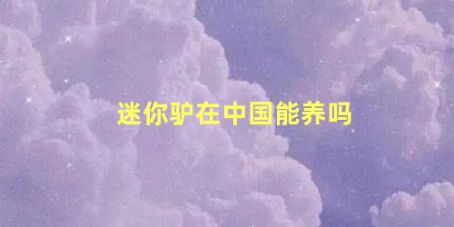 迷你驴在中国能养吗